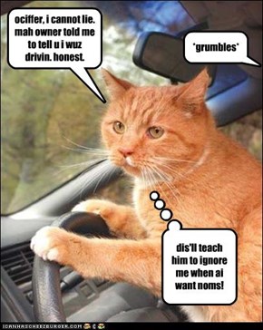 ociffer, i cannot lie. mah owner told me to tell u i wuz drivin. honest.