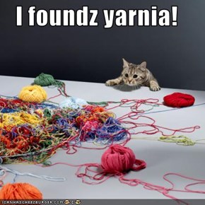 I foundz yarnia!