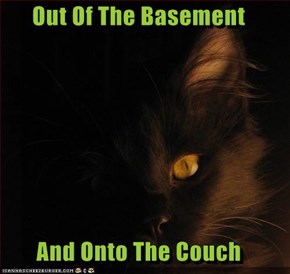 Out Of The Basement  And Onto The Couch