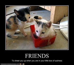 FRIENDS