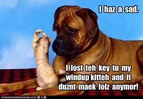 I  haz  a  sad.
