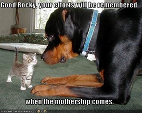 Good Rocky, your efforts will be remembered   when the mothership comes.