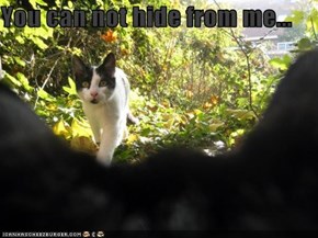 You can not hide from me...