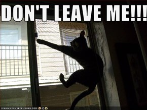 DON'T LEAVE ME!!!