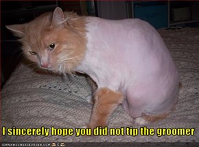 I sincerely hope you did not tip the groomer