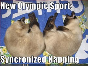 New Olympic Sport:  Syncronized Napping