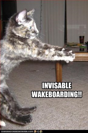 IVISABLE WAKERBOARDING