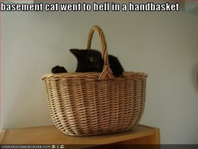 basement cat went to hell in a handbasket