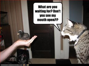 What are you waiting for? Don't you see my mouth open??