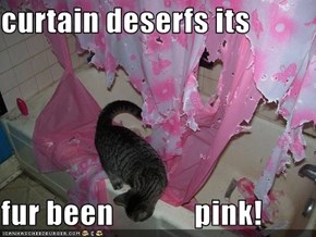 curtain deserfs its  fur been             pink!