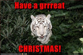 Have a grrreat  CHRISTMAS!