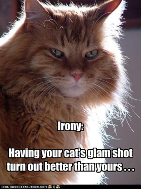 Irony:  Having your cat's glam shot turn out better than yours . . .