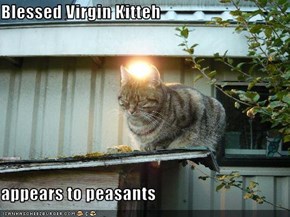 Blessed Virgin Kitteh  appears to peasants