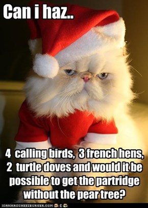 Can i haz