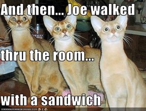 And then... Joe walked thru the room... with a sandwich