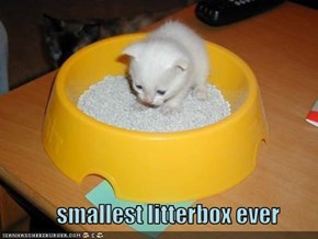 smallest litterbox ever