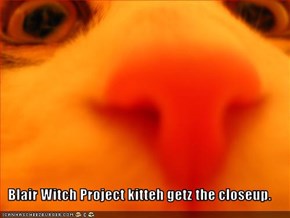 Blair Witch Project kitteh getz the closeup.