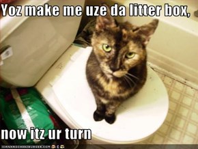 Yoz make me uze da litter box,   now itz ur turn