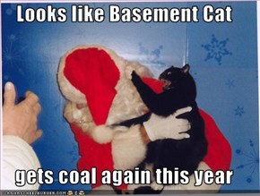 Looks like Basement Cat  gets coal again this year