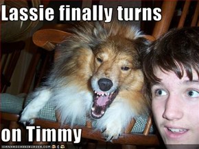 Lassie finally turns  on Timmy