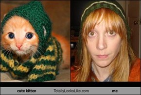 cute kitten Totally Looks Like me