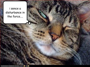 i sence a disturbance in the force....
