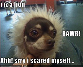 i iz a lion RAWR! Ahh! srry i scared myself...