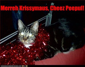 Merreh Krissymaus, Cheez Peepul!