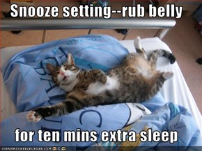 Snooze setting--rub belly  for ten mins extra sleep