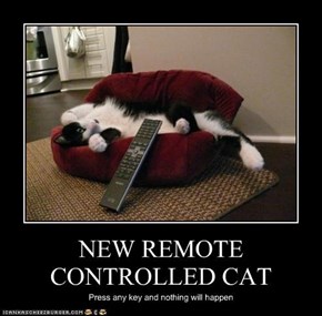 NEW REMOTE CONTROLLED CAT