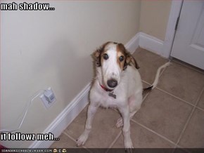 mah shadow...  it followz meh...