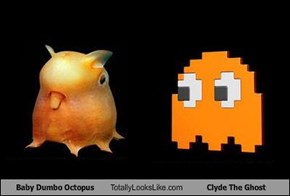 Baby Dumbo Octopus Totally Looks Like Clyde The Ghost