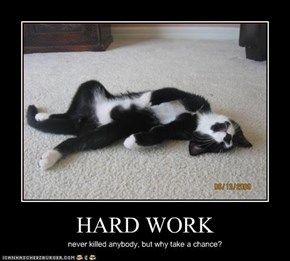 HARD WORK