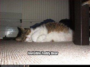Invisible Teddy Bear