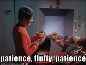 patience, fluffy. patience.