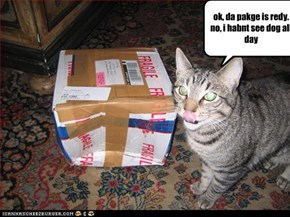 ok, da pakge is redy. no i haven't seen the dog