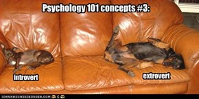 Psychology 101 concepts #3: