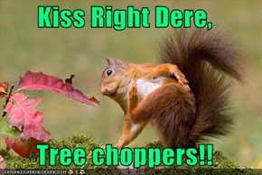 Kiss Right Dere,  Tree choppers!!