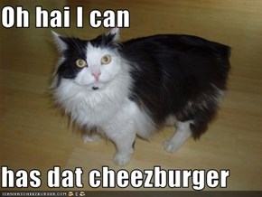 Oh hai I can  has dat cheezburger