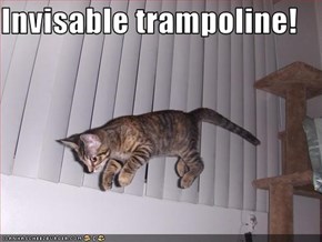 Invisable trampoline!