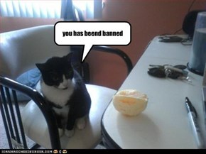 you has beend banned