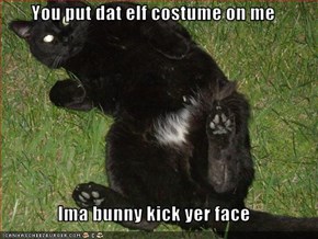 You put dat elf costume on me  Ima bunny kick yer face