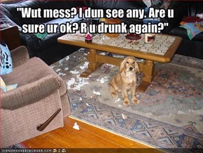 "Wut mess? I dun see any. Are u sure ur ok? R u drunk again?"
