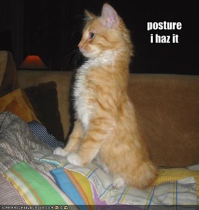 posture i haz it