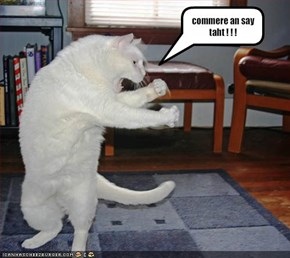commere an say taht ! ! !