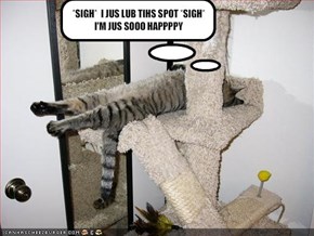 *SIGH*  I JUS LUB TIHS SPOT *SIGH*I'M JUS SOOO HAPPPPY