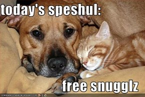 today's speshul:  free snugglz