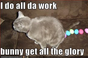 I do all da work  bunny get all the glory