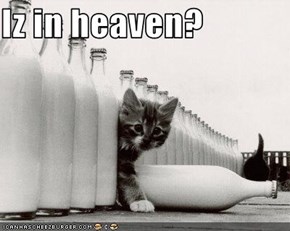 Iz in heaven?