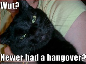 Wut?  Newer had a hangover?